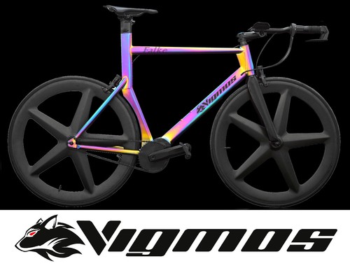 Pinion time triathlon bike - pinion,
